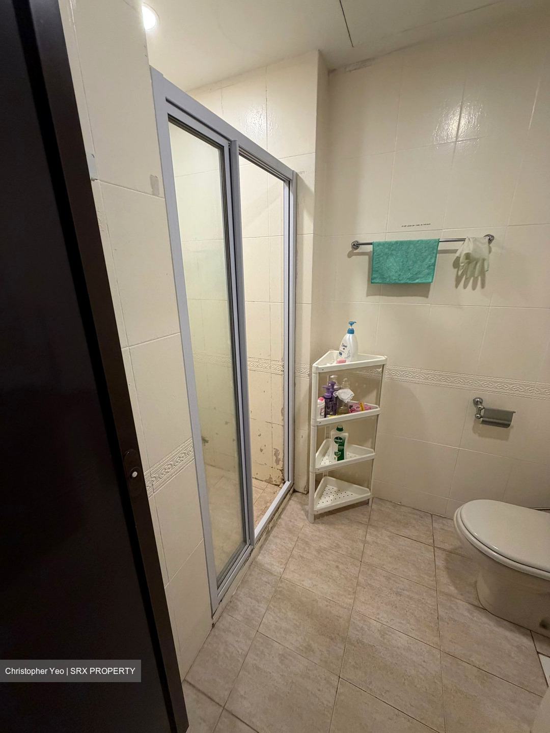 Eastpoint Green (D18), Condominium #538452751